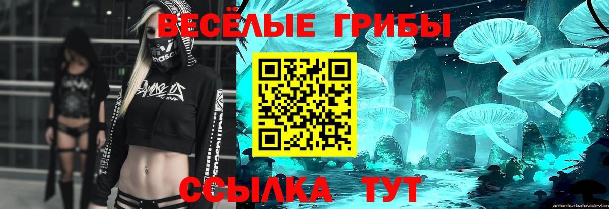 Лобня  Псилоцибиновые грибы ЛСД  продажа наркотиков  Вход с VPN  Псилоцибиновые грибы ЛСД 